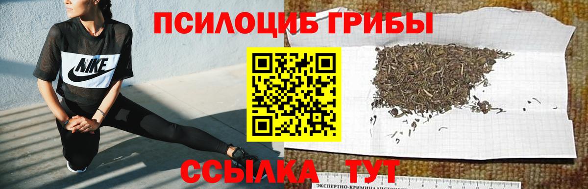 Галлюциногенные грибы мухоморы  купить  сайты  Котовск  Псилоцибиновые грибы ЛСД  Вход с VPN 